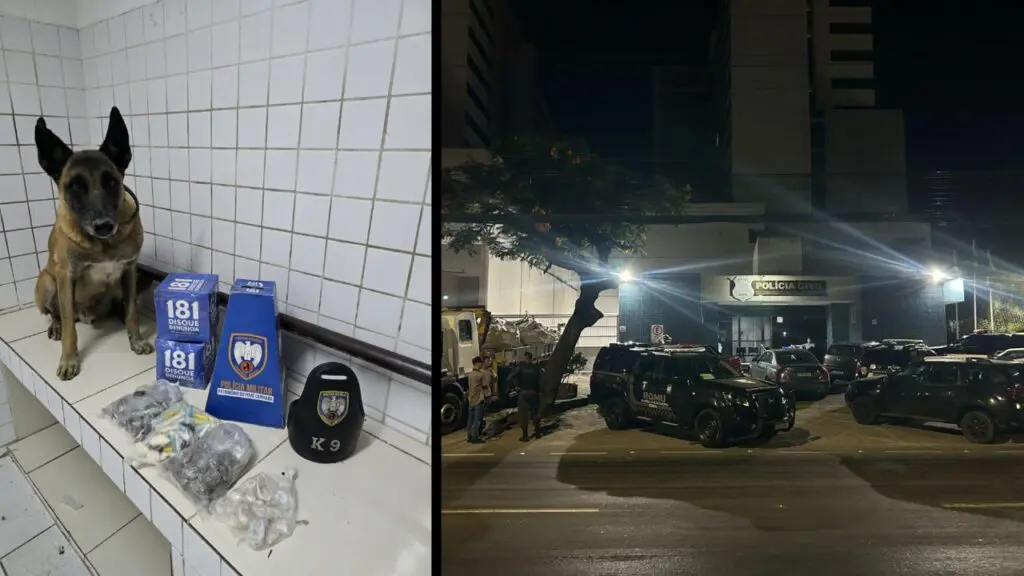 Equipe K9 apreende grande quantidade de drogas na Serra
