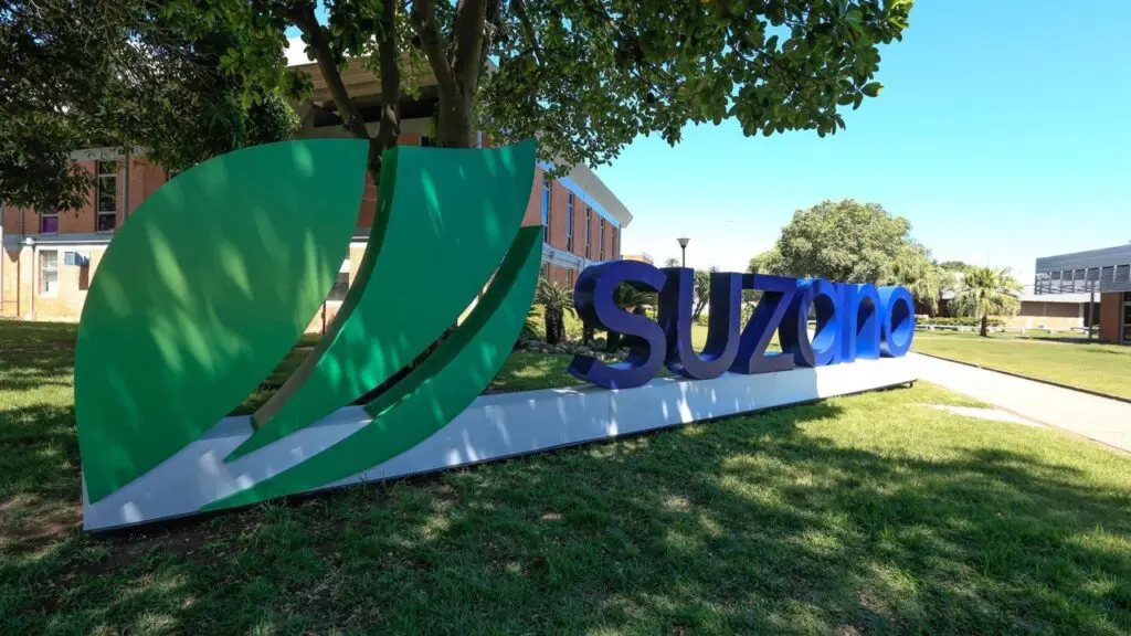 Suzano oferece mais de 100 vagas para o Programa de Estágio Superior 2026