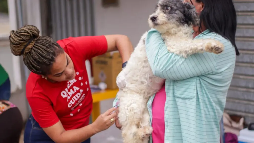 Campanha de vacinação antirrábica 2025 na Serra imuniza cães contra a raiva
