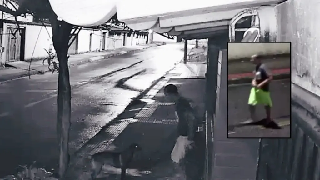 Homem flagrado por câmeras abusando de cadela em Serra Dourada II, na Serra