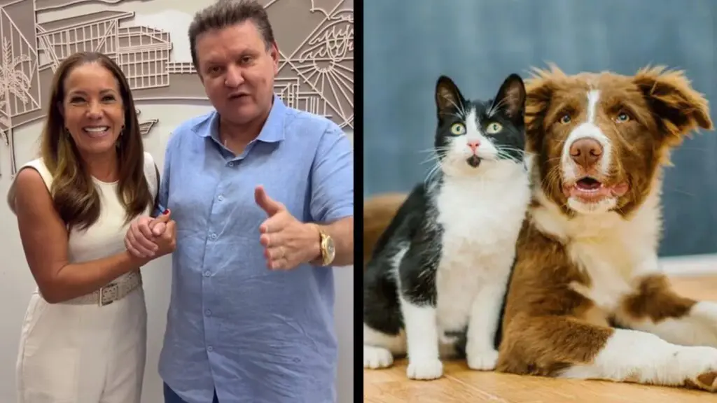 Cariacica Terá o Primeiro Hospital Público Veterinário do Espírito Santo