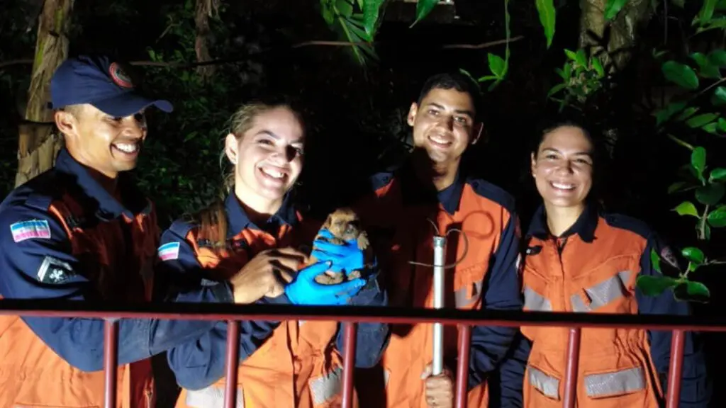 Filhote de cachorro resgatada de dentro de tubulação de 4 metros por bombeiros no bairro Bicanga, na Serra; operação durou cerca de duas horas.