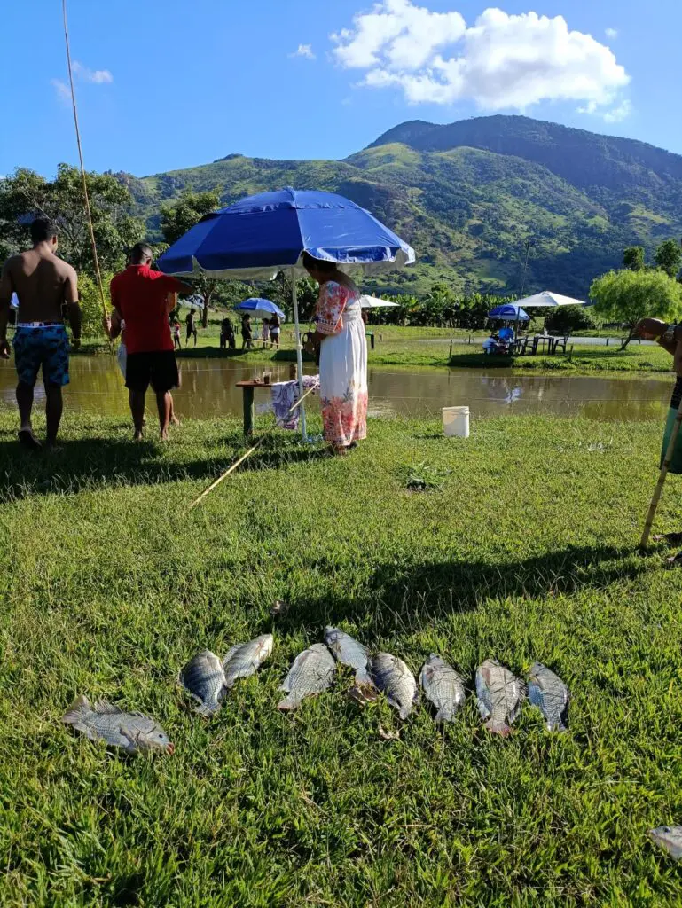 Imagem do pesqueiro Vista Bella Pesque Pague e Lazer, com algumas famílias em volta de um lago. 