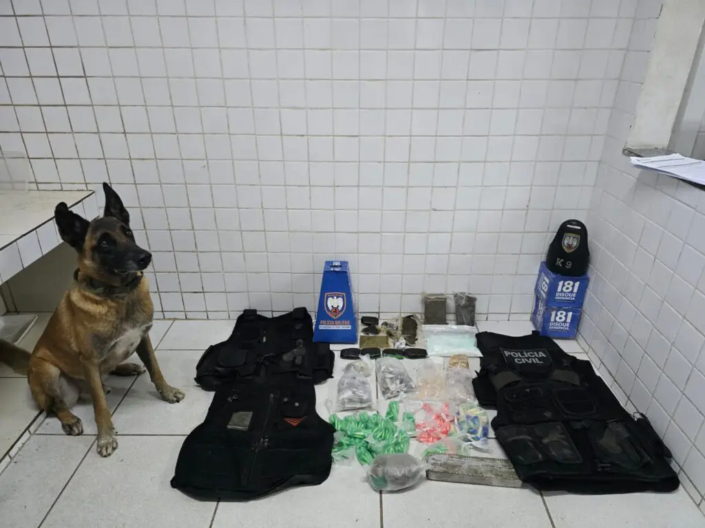 Imagem do cão farejador Apollo ao lado dos materiais apreendidos.