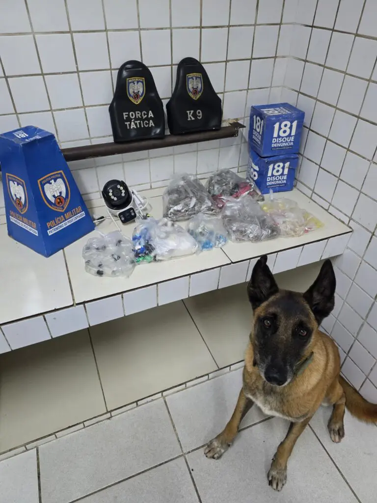 Cão farejador Apollo ao lado dos materiais apreendidos durante a ação: 380 buchas de maconha, 56 unidades haxixe, 69 unidades de skank, 156 pinos de cocaína, 343 pedras de crack e 12 frascos loló.
