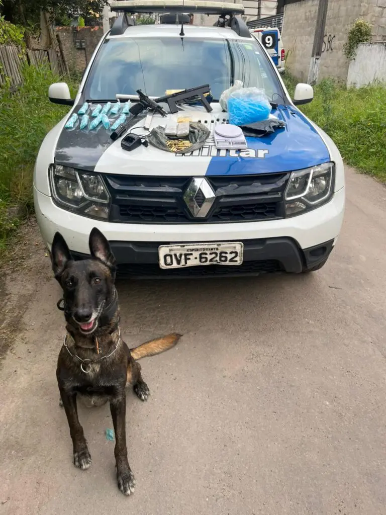 Foto de um cão farejador da raça Pastor Alemão em frente a uma viatura da PM com materiais apreendidos. Sobre o capo do veículo materiais apreendidos pela PM: 286 pinos de cocaína, uma porção maior da droga pesando 426 gramas, 29 comprimidos de ecstasy, cinco frascos de loló, um rádio comunicador com base, uma pistola calibre 9mm, uma metralhadora 9mm com dois carregadores, 37 munições calibre 38, sete munições calibre 380.