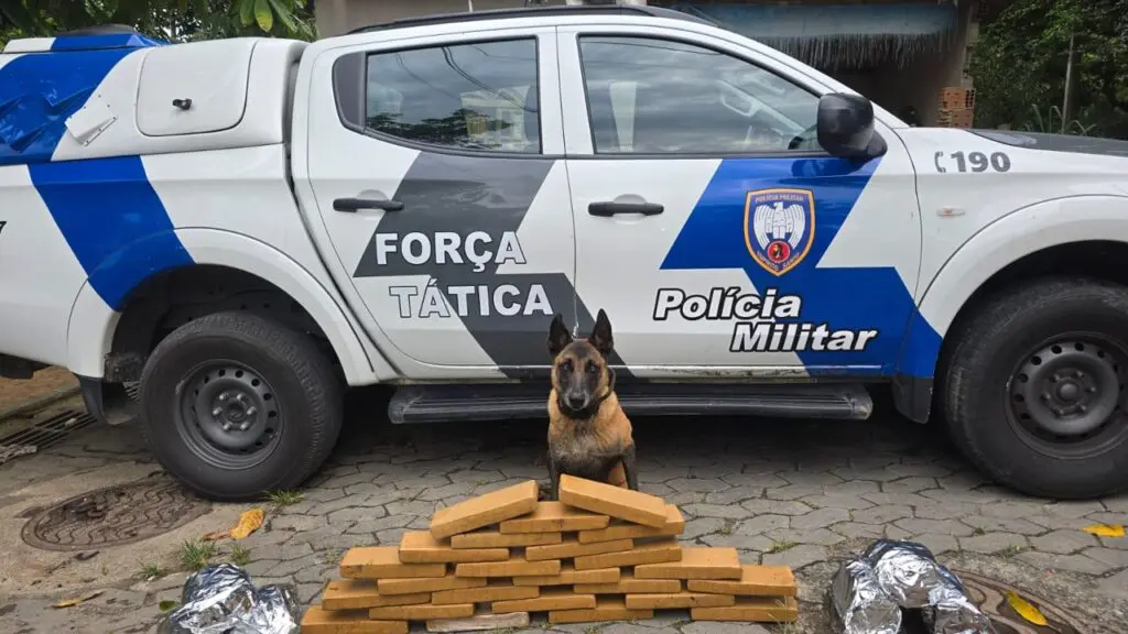 Apreensão de drogas mobiliza equipe K9 em área de risco no bairro Santa Rita de Cássia, na Serra