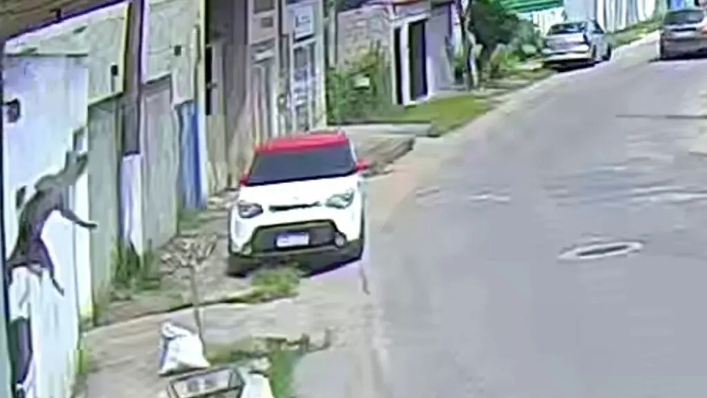 Vídeo: cachorra salta do segundo andar após se assustar com fogos de artifícios em Jacaraípe Vídeo: Cadela se joga do 2º andar após se assustar com fogos de artifício em Jacaraípe