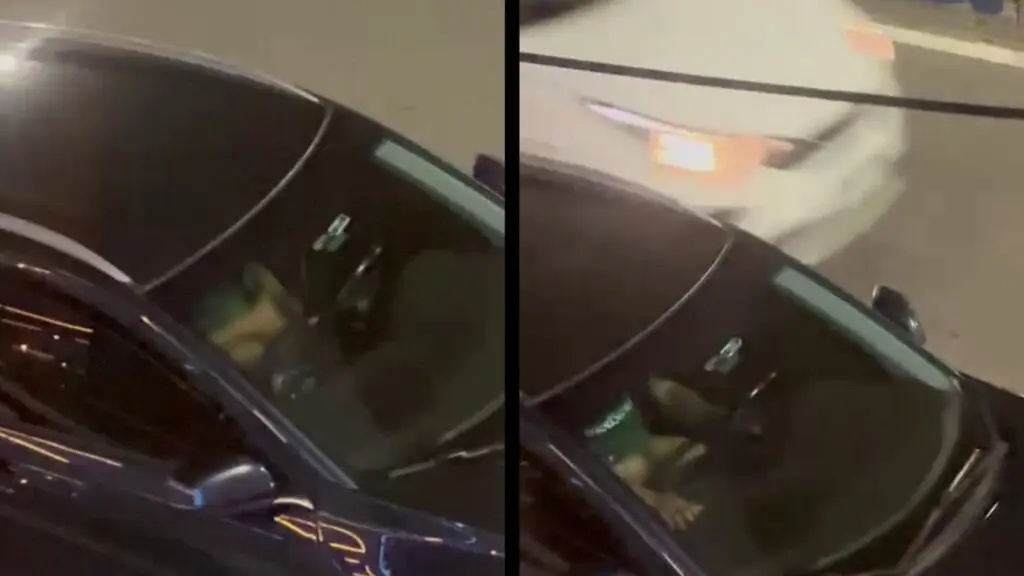 Vídeo: homem é flagrado “batendo uma” em frente a academia na Serra