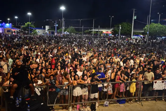 Imagem de uma multidão assistindo a um show.