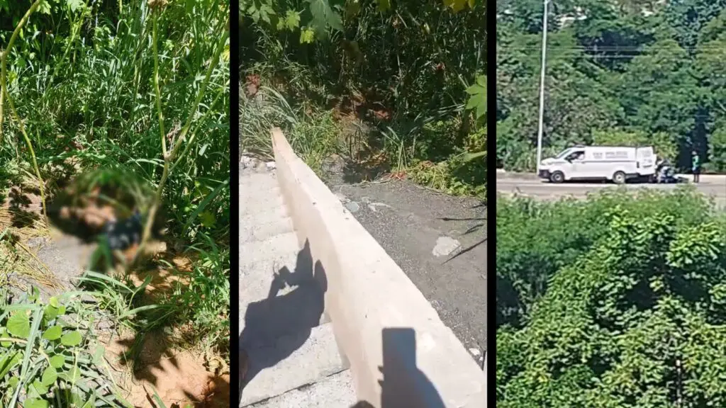 Área de mata onde um corpo foi encontrado às margens da Avenida Mestre Álvaro, na altura do bairro São Domingos, na Serra