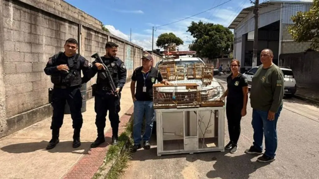 Operação resgata 15 aves mantidas em cativeiro ilegal na Serra