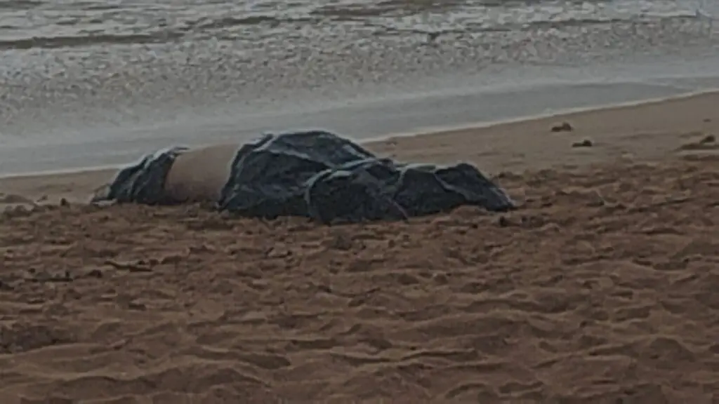 Corpo de jovem é encontrado boiando por surfistas na praia de Jacaraípe Corpo encontrado boiando na Praia do Amigão, em Jacaraípe, na Serra, com marcas de agressão