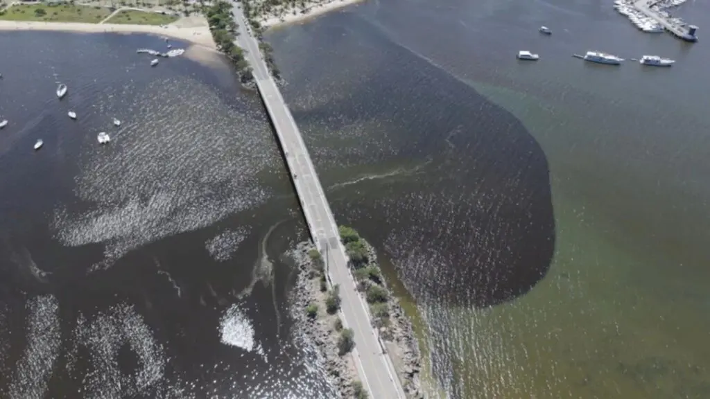 Análises iniciais apontam água própria para banho após mancha escura no mar em Vitória