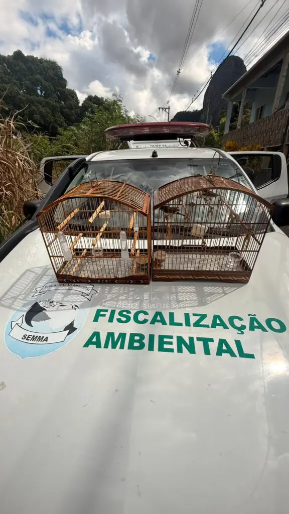 Imagem de duas gaiolas com passaros dentro, sobre o capo de uma viatura da Fiscalização Ambiental.