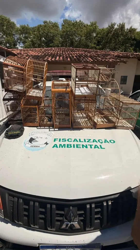 Imagem de gaiolas usadas para prender passaros sobre o capo de uma viatura da Fiscalização Ambiental.