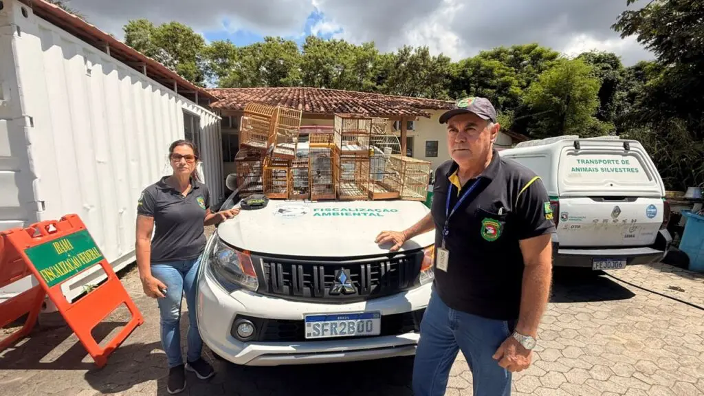 Operação conjunta entre Fiscalização Ambiental, GCM e DOT resgata 11 aves silvestres na Serra