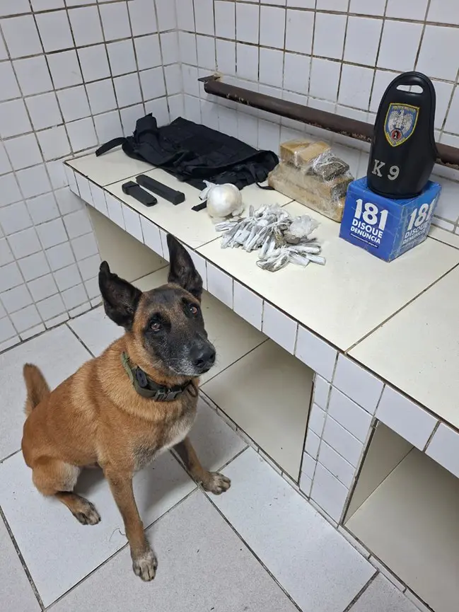 Sobre uma bancada, aproximadamente 2,1 quilos de maconha, 355 gramas de cocaína e 65 buchas de maconha, uma capa de colete e dois carregadores de pistola calibre 9mm.