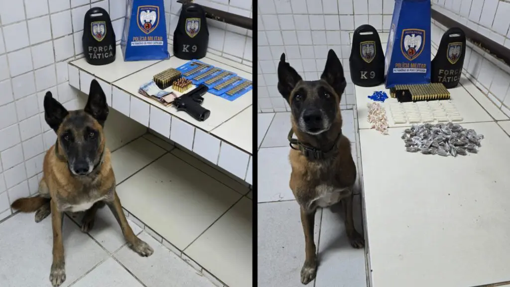 PM detém casal e realiza apreensões em Central Carapina Polícia Militar detém casal e apreende armas, munições e drogas durante ações em Central Carapina