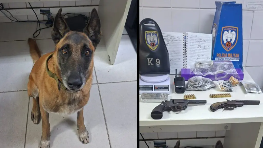 Polícia Militar detém suspeito com drogas e armas durante ação em bairro da Serra