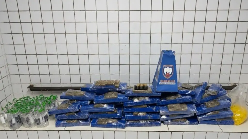 Polícia Militar encontra casa recheada com mais de 65 kg de maconha na Serra PM apreende 65 kg de maconha na Serra