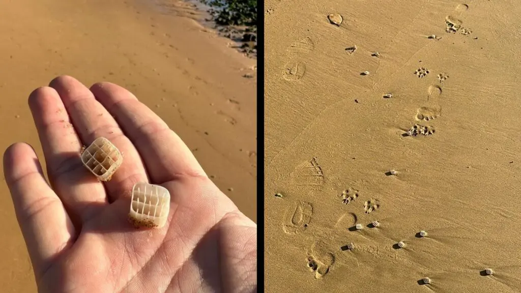 Moradores denunciam peças plásticas de esgoto despejadas na praia de Manguinhos