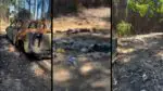 Carcaça de caminhonete Hilux completamente destruída pelo fogo em meio a uma plantação de eucaliptos