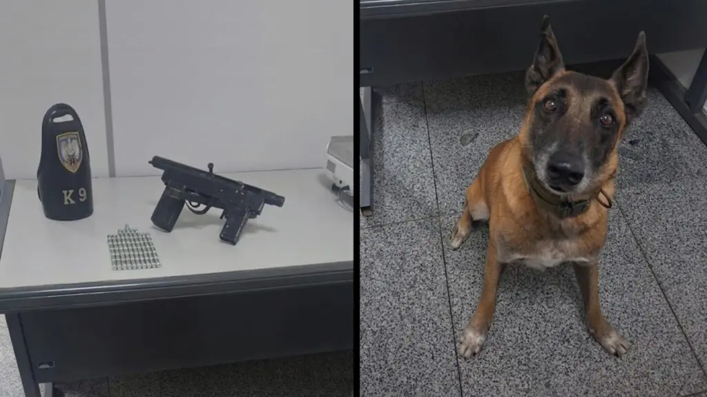 PM apreende adolescente e submetralhadora após divulgação de ameaças a policial na Serra Adolescente é apreendido com submetralhadora na Serra