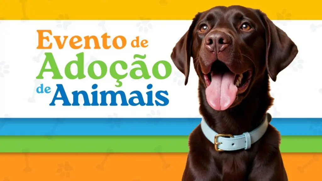 Cariacica terá feira de adoção com dezenas de animais neste sábado