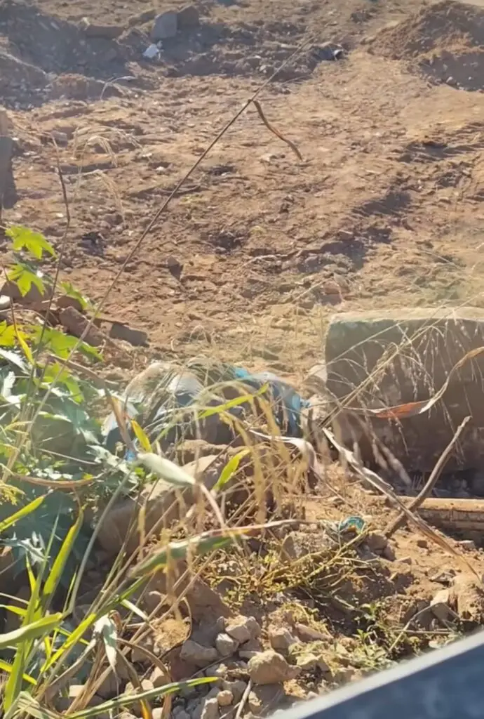Corpo em avançado estado de decomposição, embalado em sacos de lixo, com traços remanescentes e cabelos indicando preliminarmente ser de uma mulher.