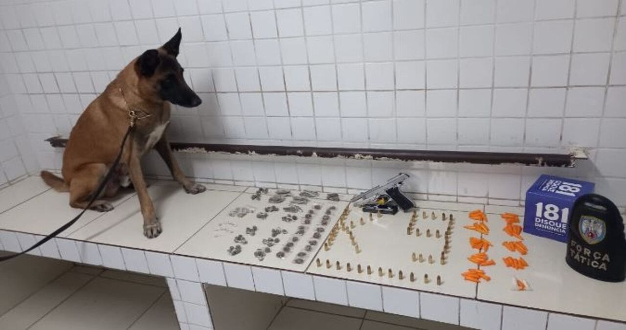Cão farejador da PM encontra armas e drogas escondidas no bairro Central Carapina