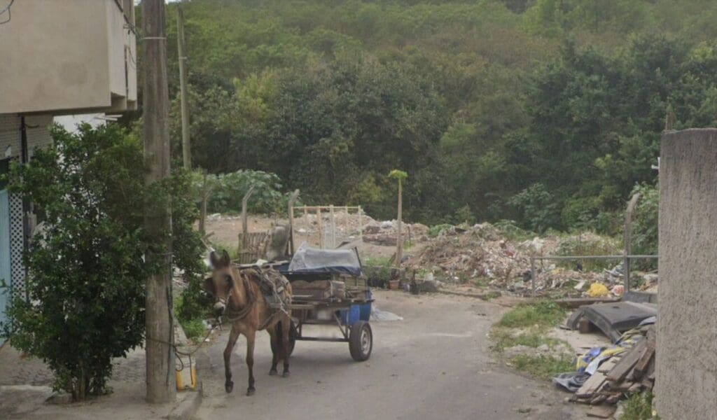 Esqueleto humano é encontrado em matagal no bairro Novo Horizonte Esqueleto humano é encontrado em matagal no bairro Novo Horizonte