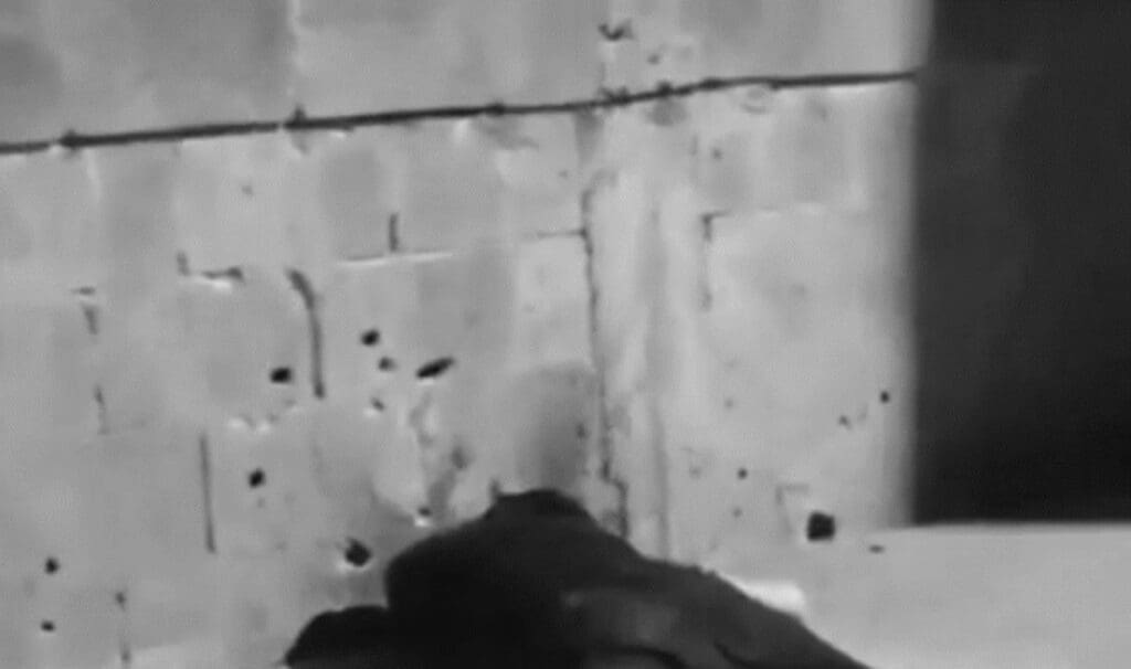 Exclusivo: Deflagrados os confrontos entre duas grandes facções de traficantes na Serra