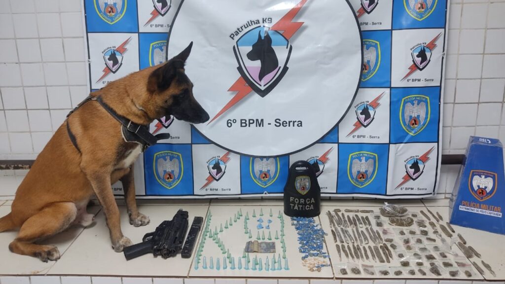 Polícia Militar recebe denúncia anônima e equipe K9 arrocha biqueira em Novo Horizonte Cão farejador Apollo posando sobre o material apreendido