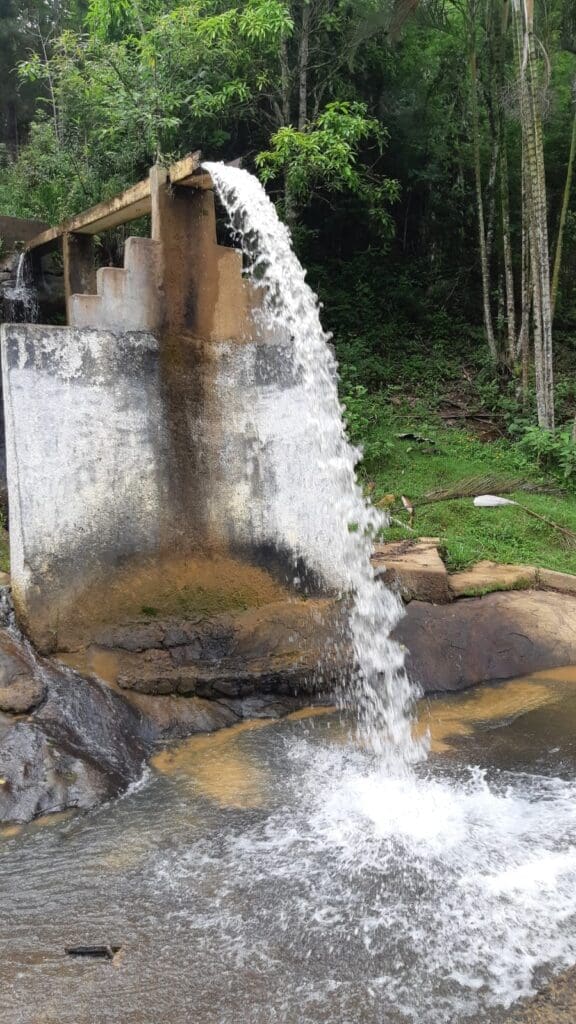 Serrano se inspira no filme "Forest Gump" para viajar mais de 500 km a pé de Vitória até Belo Horizonte