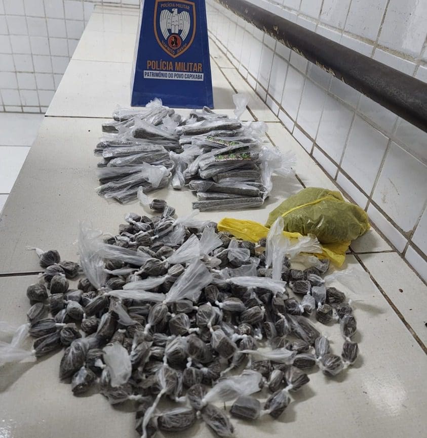 Cão Apollo K9 detona diversas biqueiras na Serra