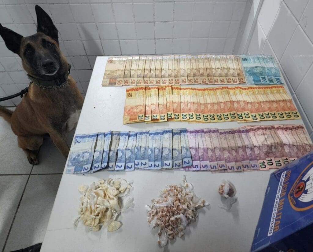 Cão Apollo K9 detona diversas biqueiras na Serra