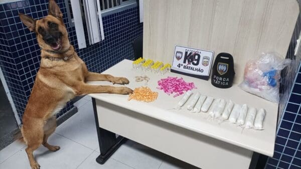 Foto de um cachorro pastor alemão farejador com as duas patas em cima da mesa, e sobre a mesa 153 pinos de cocaína, 10 pedras de crack, 37 frascos de loló, 11 porções de pasta base e vasto material para embalo de drogas