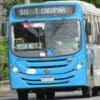 Ônibus azul do sistema Transcol, transitando em uma rua arborizada com o letreiro marcando Terminal Carapina