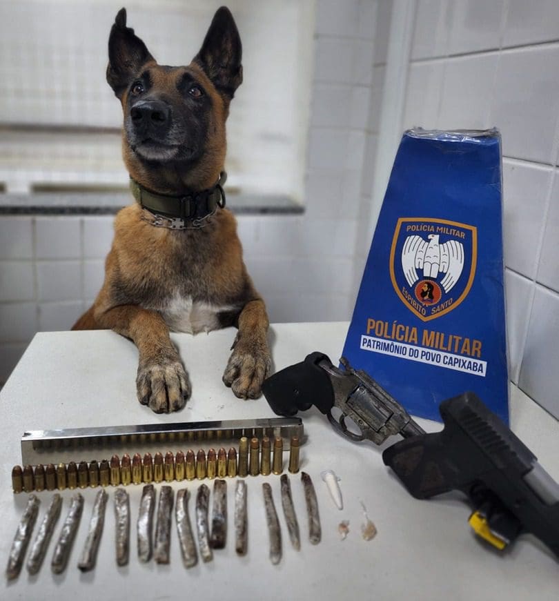 Cão Apollo ao lado do material ilícito apreendido em Jardim Bela Vista