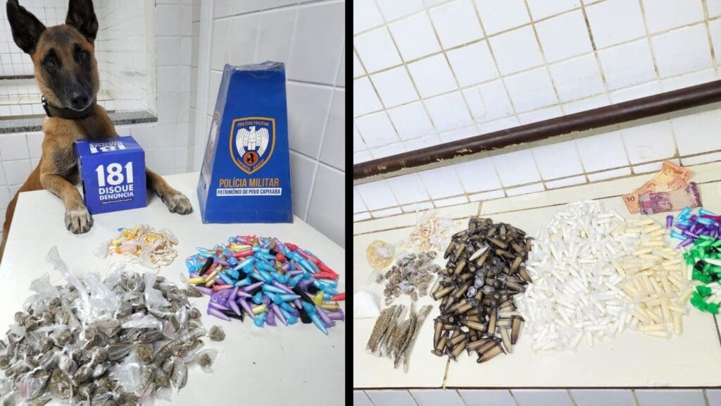 Cão Apollo e entorpecentes apreendidos na Serra