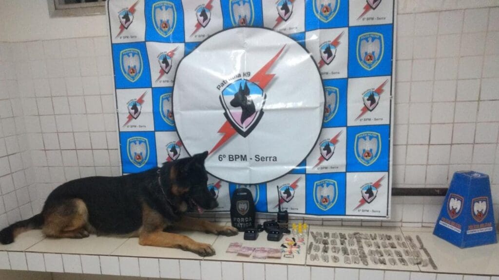 Foto de um cão farejador, ao lado de matérias apreendidos durante operação no bairro Novo Horizonte 102 buchas de maconha, 15 pinos de cocaína, 7 frascos de loló, 4 bolinhas de haxixe, 1 pedra de crack, 1 rádio comunicador, 3 bases de carregador de rádios comunicadores e R$ 20,00 em espécie