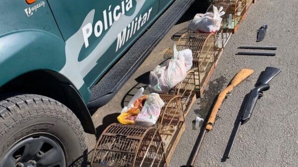 Foto uma viatura da Policia Militar Ambiental e ao lado no chão duas espingardas uma faca de caça e 10 gaiolas com pássaros silvestres dentro