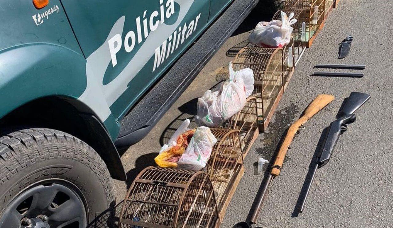 Foto uma viatura da Policia Militar Ambiental e ao lado no chão duas espingardas uma faca de caça e 10 gaiolas com pássaros silvestres dentro