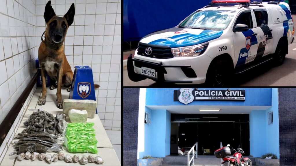 Arte com 3 imagens na primeira um cachorro pastor alemão, cão farejador sentado e proximo dele de 207 buchas de maconha, 02 porções de cocaína, 303 pedras de crack, 168 pinos de cocaína e 04 pedaços de maconha.