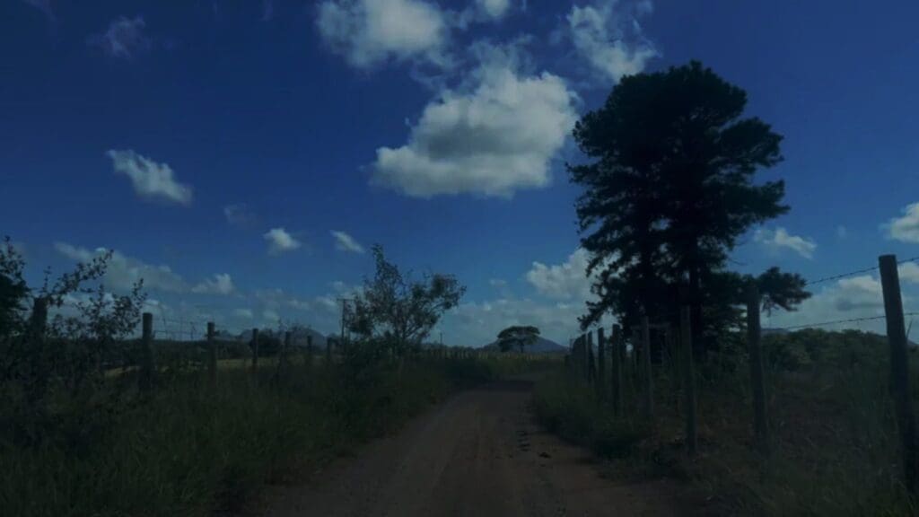 Imagem de uma estrada de terra, com arvores e pasto dos dois lados