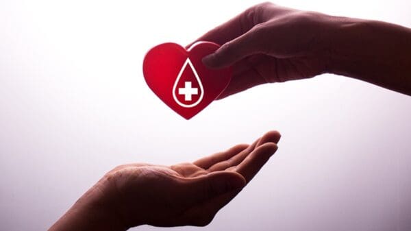 Imagem que representa a doação de sangue