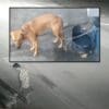 Arte com duas imagem na primeira, dois homens prendendo um cachorro e o abandonando, e na segunda a foto do cachorro preso na corrente.