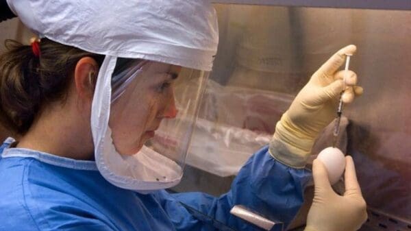 Cientista com máscara e luvas, manipulando uma amostra do virus de (H5N1) gripe aviaria com uma seringa em uma das mãos e na outra um ovo.