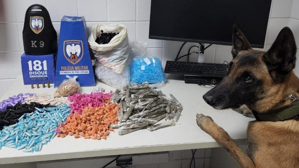 Foto de uma sala branca dá 3º Delegacia Regional da Polícia Militar o cão farejador Apollo com as duas patas dianteiras sobre a mesa e sobre a mesa uma munição de calibre .38, duas munições de calibre .380, uma munição de calibre .40, uma porção de crack pesando 253g, 576 pedras de crack, 550 pinos de cocaína e 105 buchas de maconha.